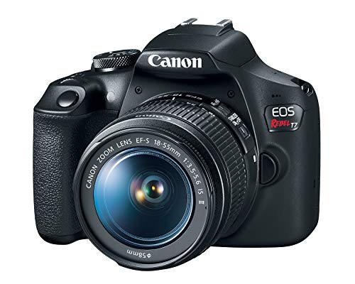 10 Best Canon Entry Level Dslrs In 2023