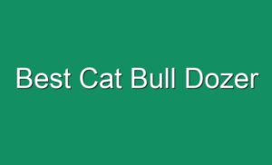 Best Cat Bull Dozer