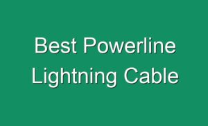 Best Powerline Lightning Cable