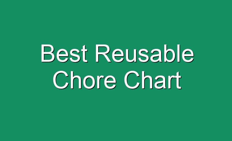 Best Reusable Chore Chart 2 291245 