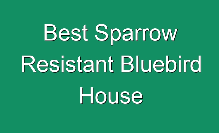 Best Sparrow Resistant Bluebird House